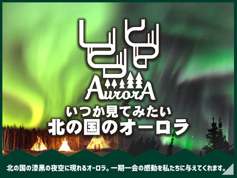いつか見てみたい 北の国のオーロラ 名鉄観光