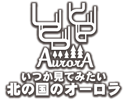 いつか見てみたい！北の国のオーロラ