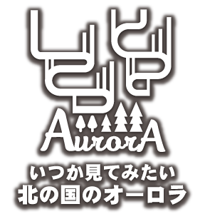 いつか見てみたい！北の国のオーロラ