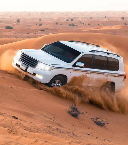 デザートサファリ