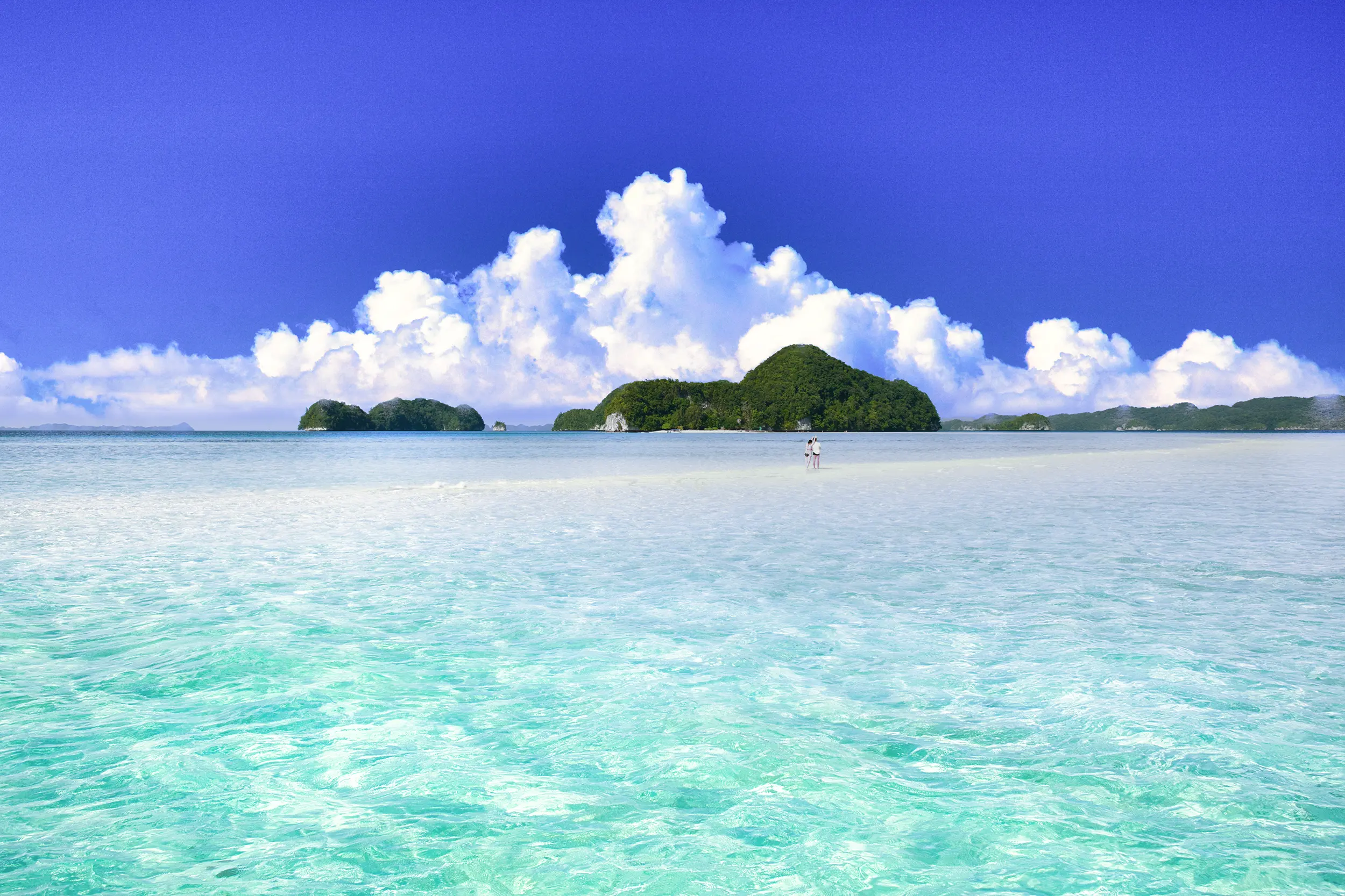 パラオの美しいサンゴ礁の海