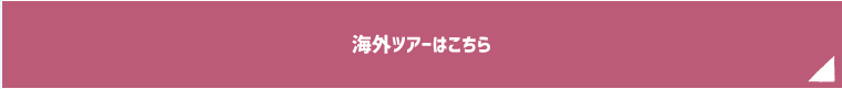 海外ツアーはこちら