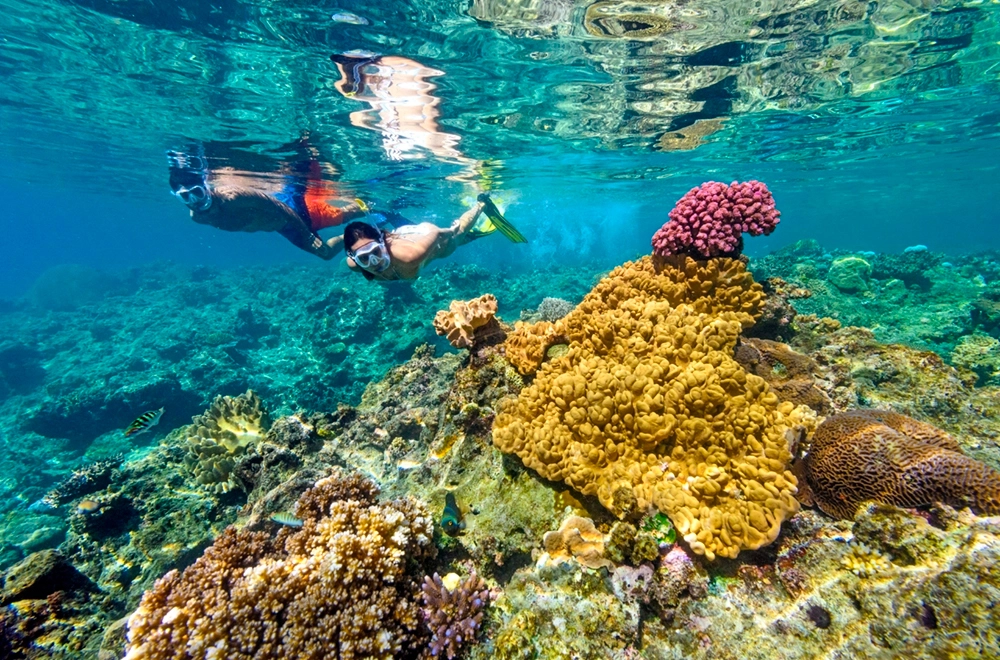 サンゴ礁が育む美しい海 Photo by Tourism Fuji