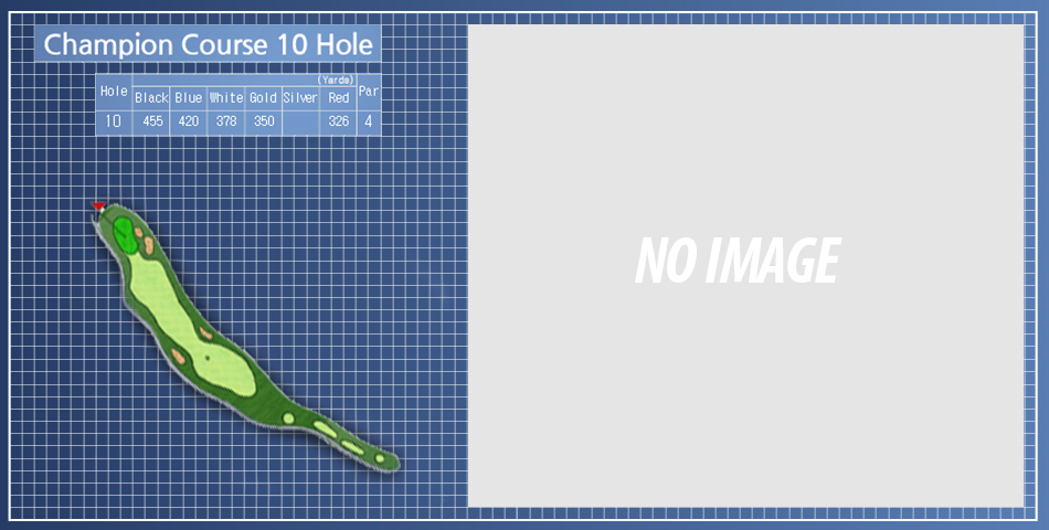 チャンピオンコース　ホール10