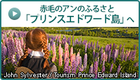 赤毛のアンのふるさと「プリンスエドワード島」へ