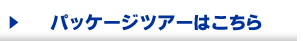 パッケージツアーはこちら