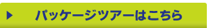 パッケージツアーはこちら