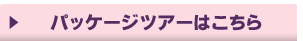 パッケージツアーはこちら