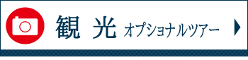 オプショナルツアー