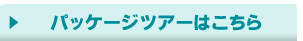 パッケージツアーはこちら