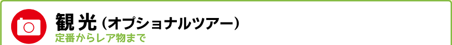 観光（オプショナルツアー）-定番からレア物まで