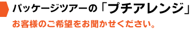 パッケージツアーの「プチアレンジ」