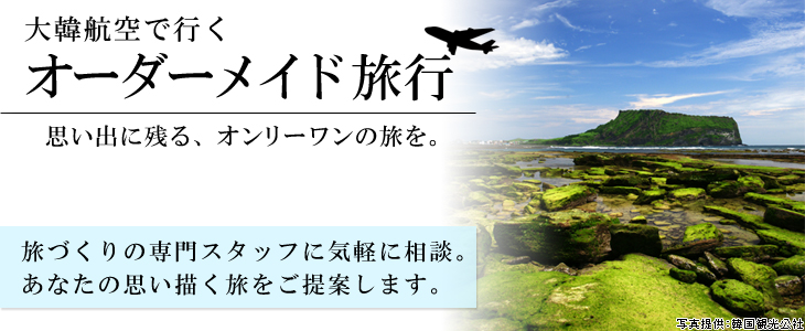 大韓航空で行くオーダーメイド旅。旅づくりの専門スタッフに気軽に相談。あなたの思い描く旅をご提案します。