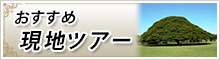 おすすめ現地ツアー