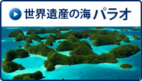 世界遺産の海　パラオ