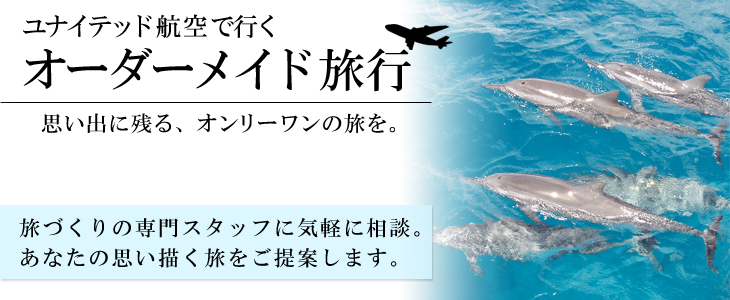 ユナイテッド航空で行くグアムオーダーメイド旅。旅づくりの専門スタッフに気軽に相談。あなたの思い描く旅をご提案します。