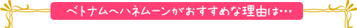 ベトナムでハネムーンがおすすめな理由は…