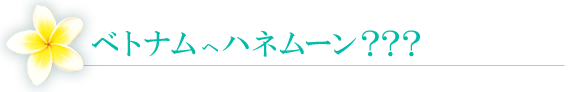 ベトナムへハネムーン？？？