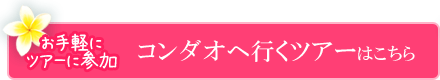 お手軽にツアーへ参加！コンダオへ行くツアーはこちら