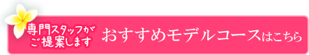 専門スタッフがご提案します　おすすめモデルコースはこちら