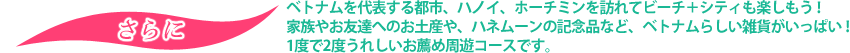 さらにベトナムを代表する都市、ハノイ、ホーチミンを訪れてビーチ＋シティも楽しもう！