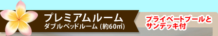 プレミアムルーム ダブルベッドルーム (約60㎡) プライベートプールとサンデッキ付