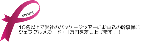 10名以上で弊社のパッケージツアーにお申込の幹事様・・