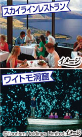 「スカイラインレストラン」、土ボタルの放つ幻想的な世界の「ワイトモ洞窟」へご案内
