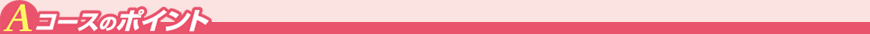 Aコースのポイント