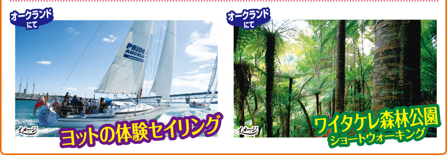 オークランドにて「ヨットの体験セイリング」、「ワイタケレ森林公園ショートウォーキング」