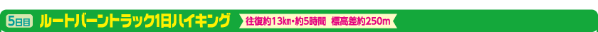 5日目　ルートバーントラック1日ハイキング