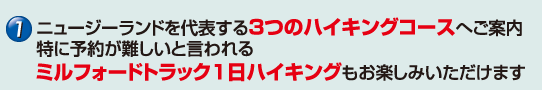 ニュージーランドを代表する3つのハイキングコースへご案内。特に予約が難しいと言われるミルフォードトラック1日ハイキングもお楽しみいただけます