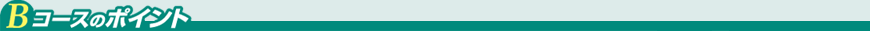 Bコースのポイント