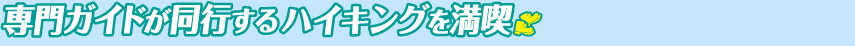 専門ガイドが同行するハイキングを満喫