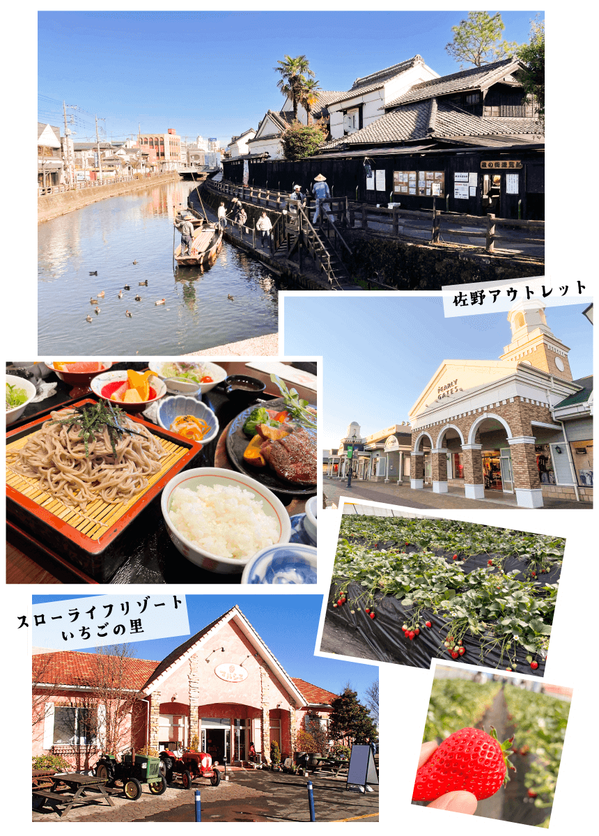 栃木県 県南エリアのいちご狩り＆とちぎ和牛のグルメツアー