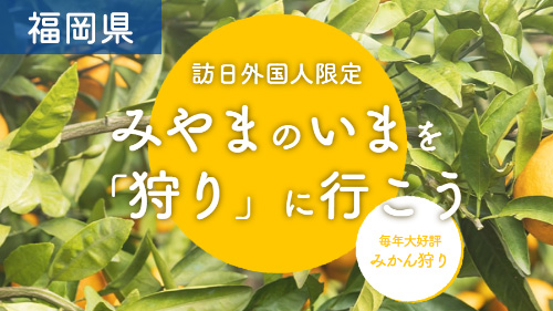 みやまのいまを狩りに行こう