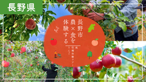 長野市農×食を体験する