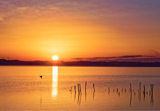 霞ヶ浦夕焼け