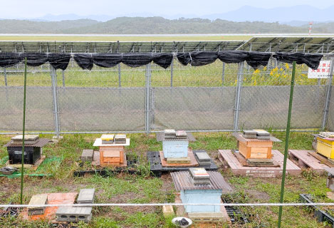 空港ビーガーデン