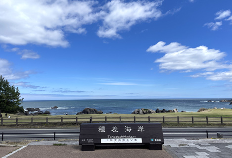 種差海岸