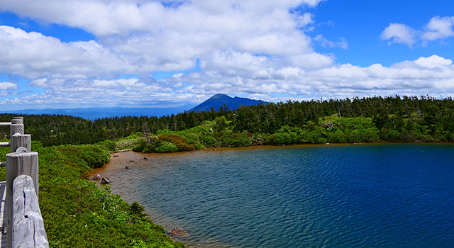 八幡平ガマ沼と岩手山