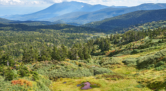八幡平アスピーテラインからの岩手山