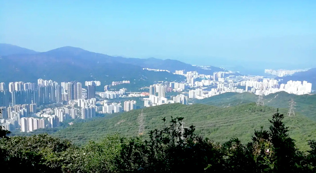 ライオンロック眺望