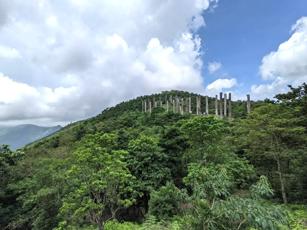 ランタオトレイル1点