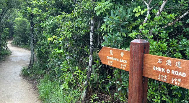 ドラゴンズバック標識