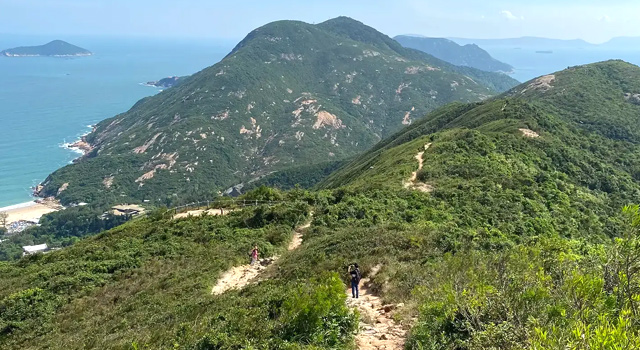 ドラゴンズバック