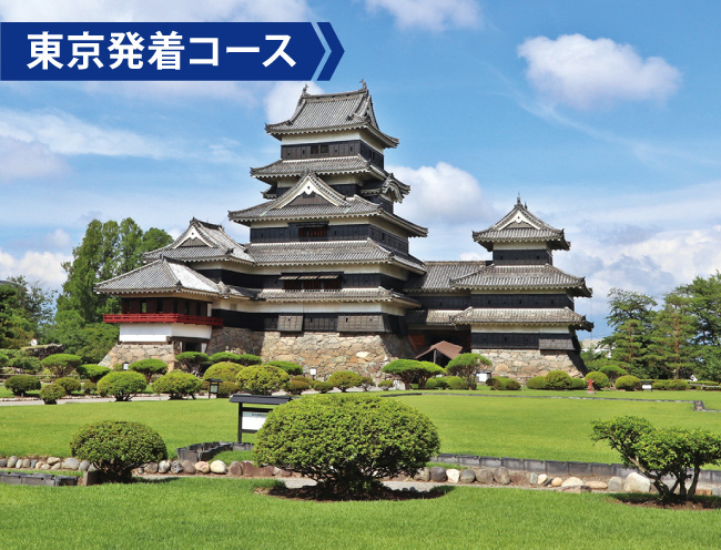 本丸庭園から見る松本城天守