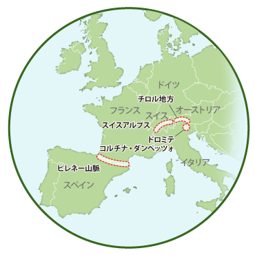 マップの画像