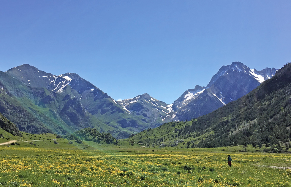 ヴィニュマレ自然保護区 オタル谷のフラワーハイキングイメージ
