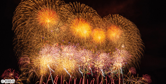 ぎおん柏崎まつりの写真